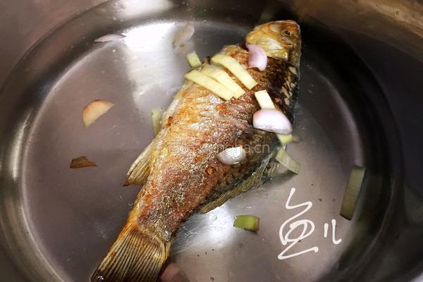 冬瓜鲫鱼汤的做法图解6