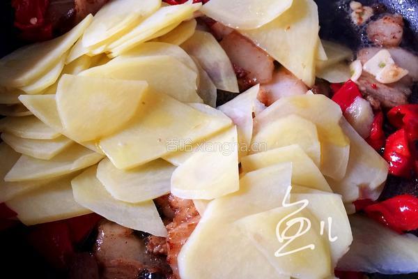 土豆回锅肉的做法图解13