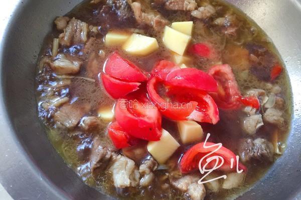 番茄土豆炖牛腩的做法图解13