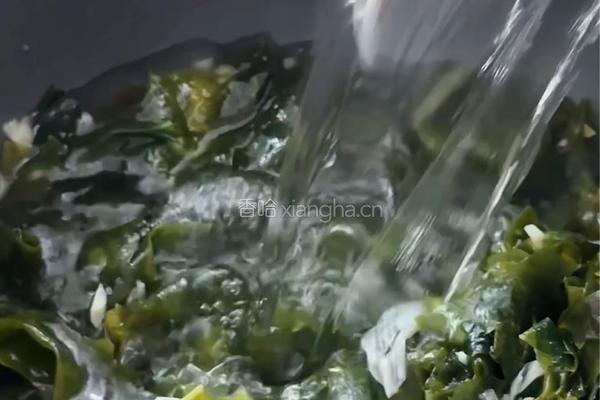 海带牛肉汤的做法图解5