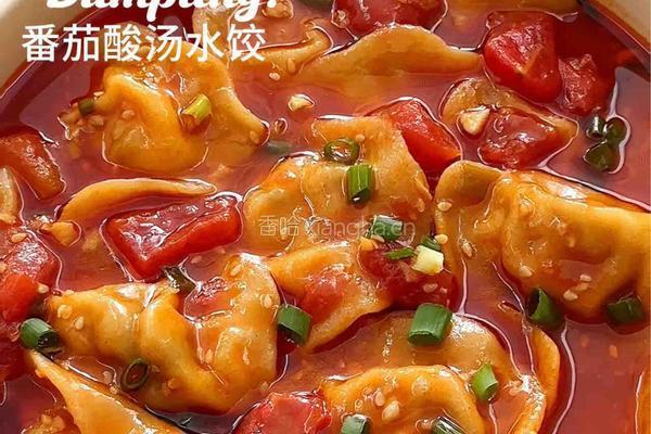 番茄酸汤水饺