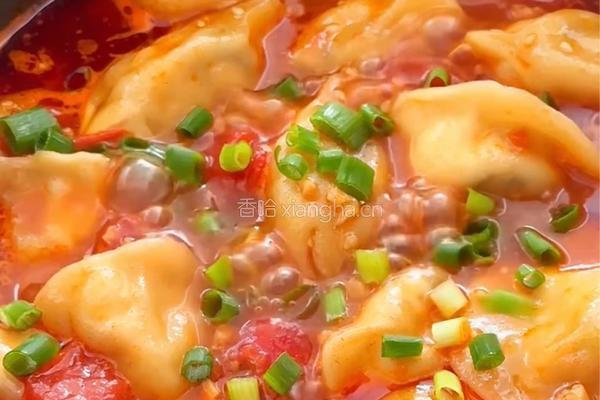 番茄酸汤水饺的做法图解8