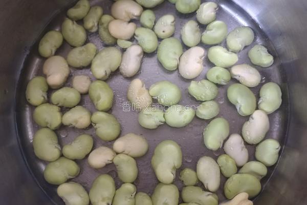 快手家常菜~豆瓣炒肉片的做法图解3