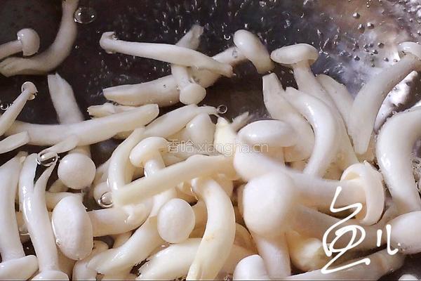 白玉菇炒鸡蛋的做法图解5