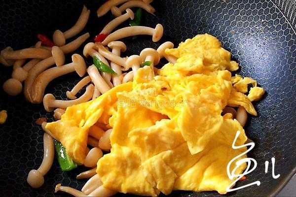 白玉菇炒鸡蛋的做法图解13