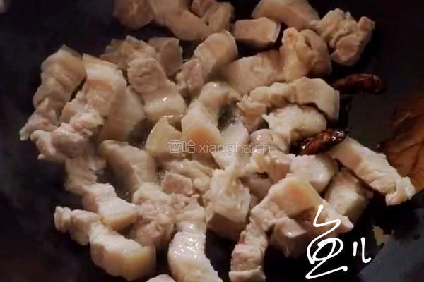 白萝卜炖猪肉的做法图解5