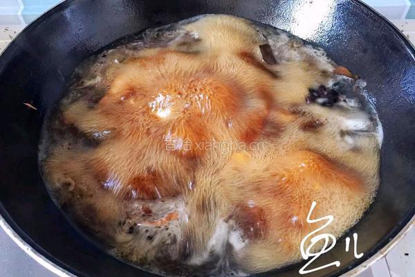 白萝卜炖猪肉的做法图解11