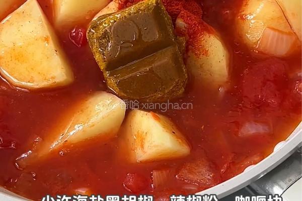 椰香咖喱鸡的做法图解4