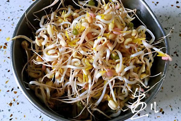 豆芽炒粉条的做法图解2
