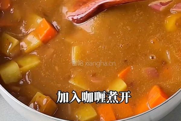 咖喱乌冬面的做法图解4
