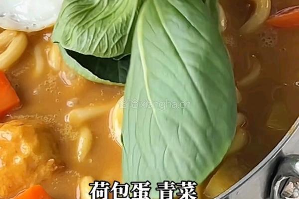 咖喱乌冬面的做法图解8