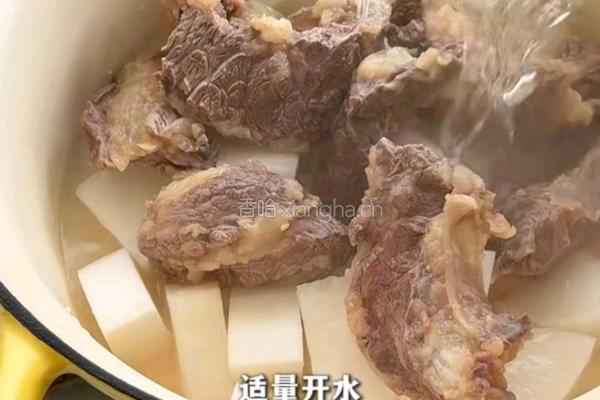 清汤牛肋条的做法图解4