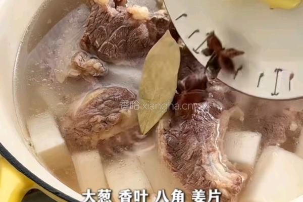 清汤牛肋条的做法图解5