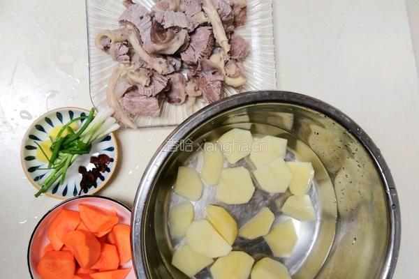 牛腩烩土豆的做法图解4