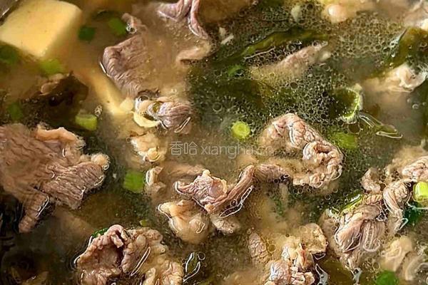 海带牛肉汤