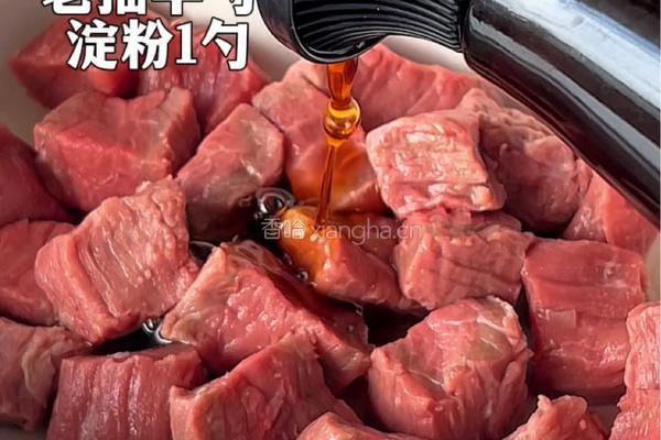 牛肉乌冬面的做法图解1
