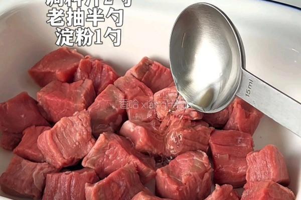 咖喱牛肉乌冬面的做法图解1
