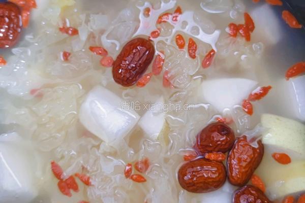 银耳雪梨红枣粥的做法图解4