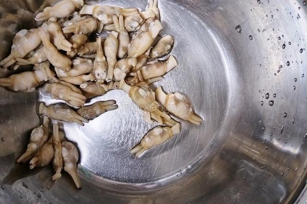 蒜蓉粉丝蛏的做法图解3