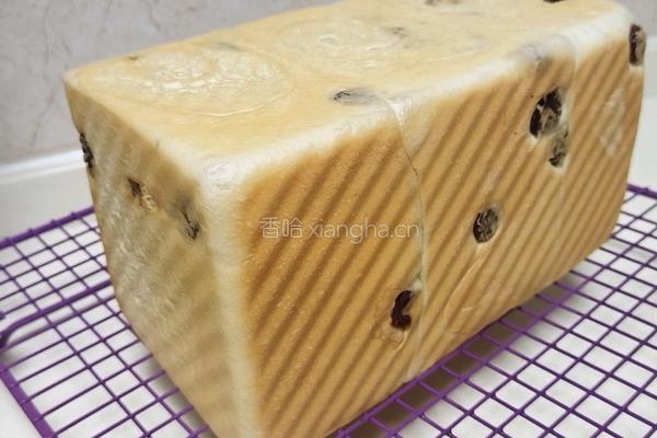 鲜奶提子吐司（2个450g吐司）牛奶液种