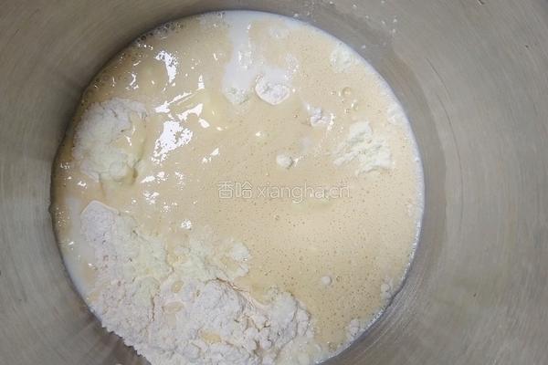 鲜奶提子吐司(2个450g吐司)牛奶液种的做法图解4