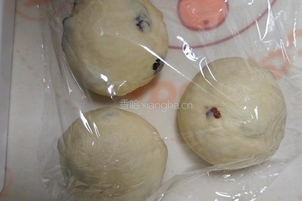 鲜奶提子吐司(2个450g吐司)牛奶液种的做法图解12