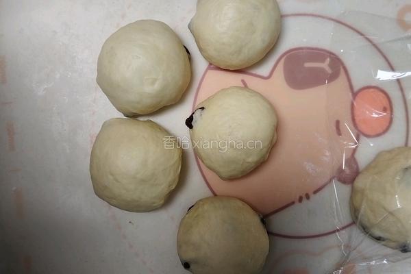 黄金芝士提子夹心面包条(牛奶液种)2个28方盘的量的做法图解12