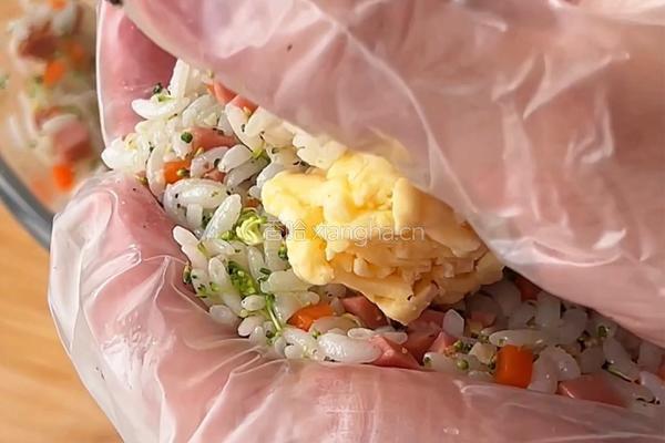 照烧芝土饭团的做法图解4