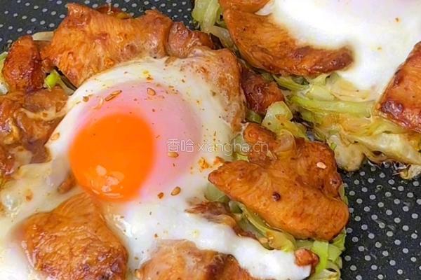 黑松露包菜鸡肉三明治的做法图解8