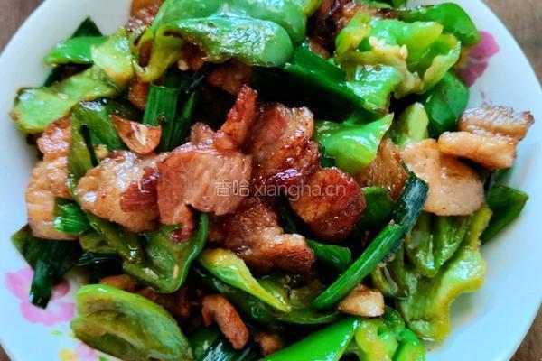 青椒回锅肉的做法图解10