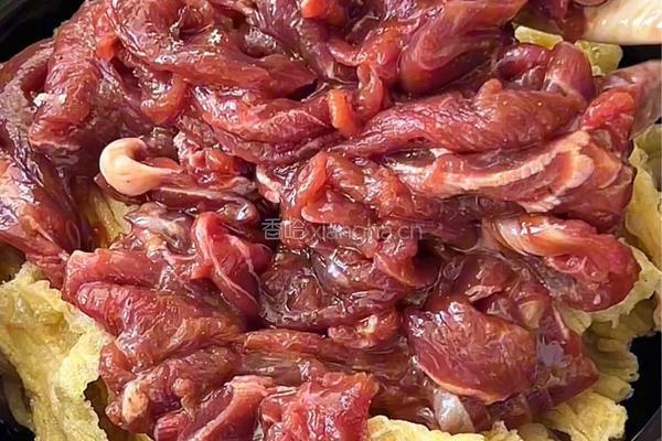 沙茶牛肉煲的做法图解5