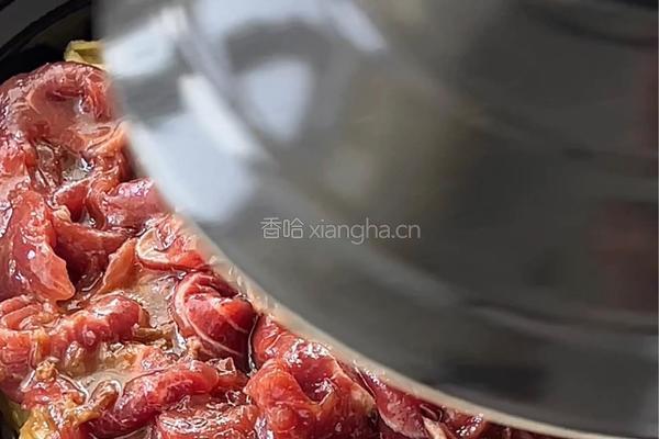 沙茶牛肉煲的做法图解6