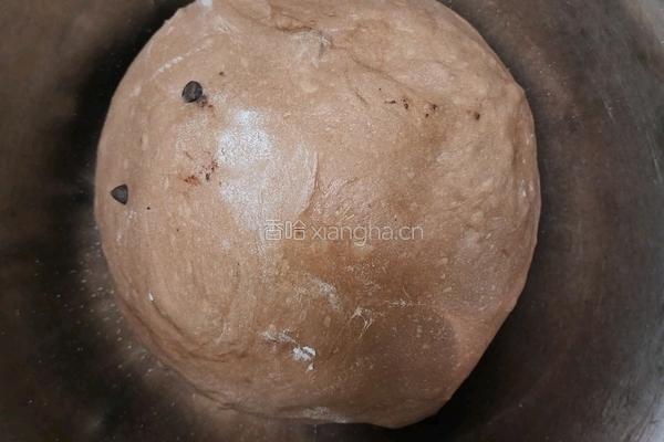 （波兰种）可可淡奶吐司(2个450g)的做法图解9