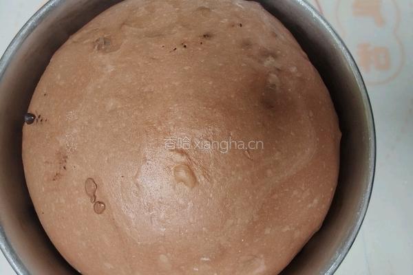 (波兰种)可可淡奶吐司(2个450g)的做法图解10
