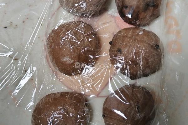 (波兰种)可可淡奶吐司(2个450g)的做法图解13