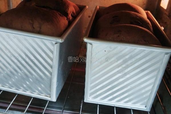 （波兰种）可可淡奶吐司(2个450g)的做法图解23