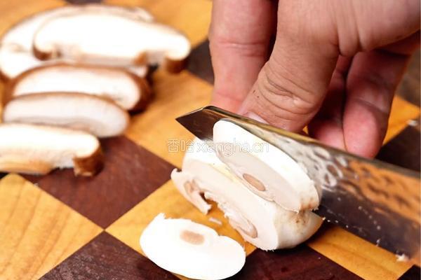法式菌菇炖鸡的做法图解2