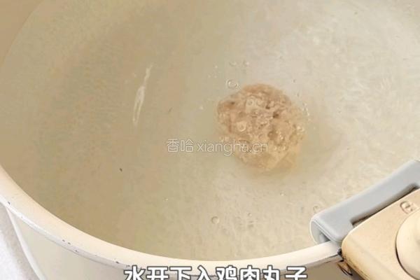 黑松露爆汁鸡肉丸的做法图解4