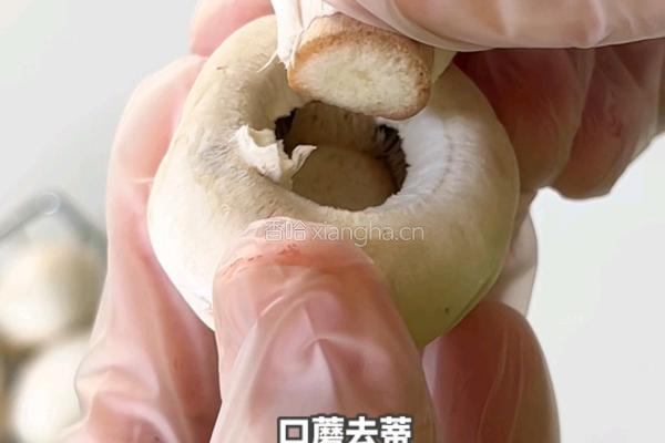 黑松露蒜香口蘑虾的做法图解1