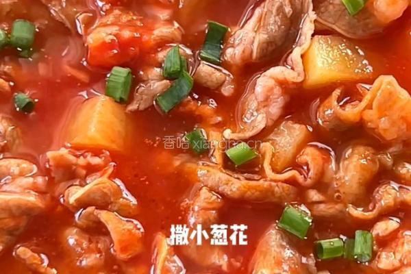 番茄土豆肥牛的做法图解7