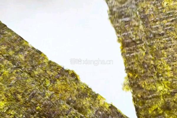 三文鱼寿司塔的做法图解2