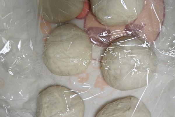 白吐司（波兰种）最适合做三明治的吐司的做法图解9