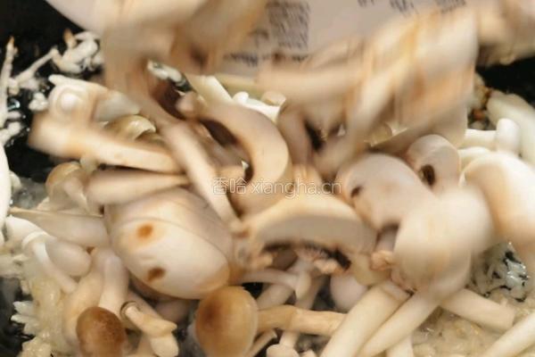 黑松露意式菌菇烩饭的做法图解2