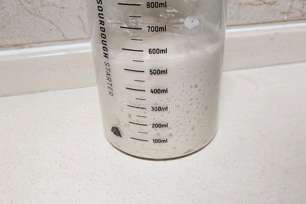 酸奶吐司(波兰种)2个450g吐司的做法图解3