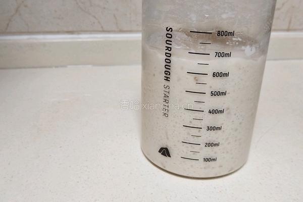 酸奶吐司(波兰种)2个450g吐司的做法图解4