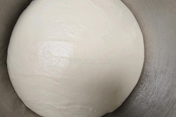 酸奶吐司(波兰种)2个450g吐司的做法图解9