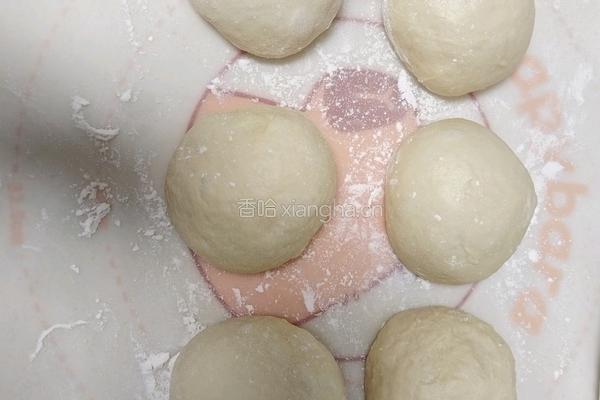 酸奶吐司(波兰种)2个450g吐司的做法图解11