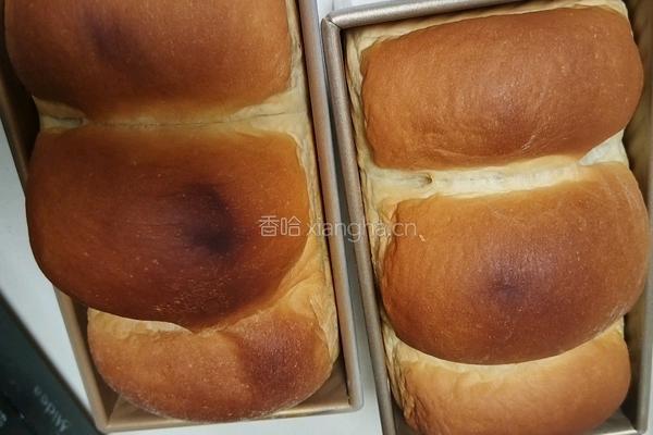酸奶吐司(波兰种)2个450g吐司的做法图解22