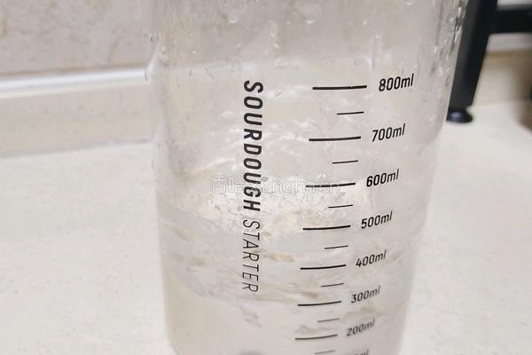 波兰种奶油吐司(2个450g吐司)的做法图解2