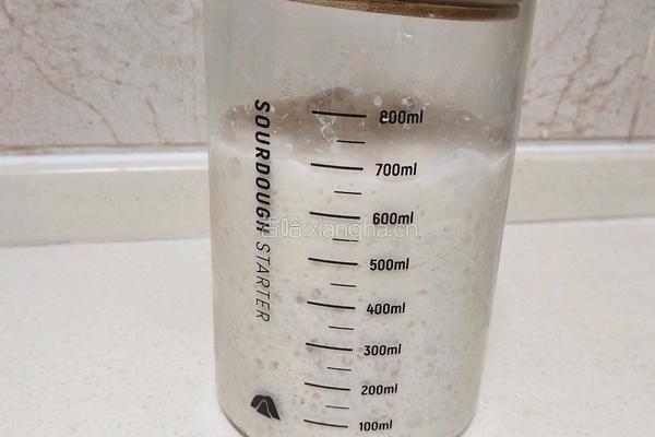 波兰种奶油吐司(2个450g吐司)的做法图解4